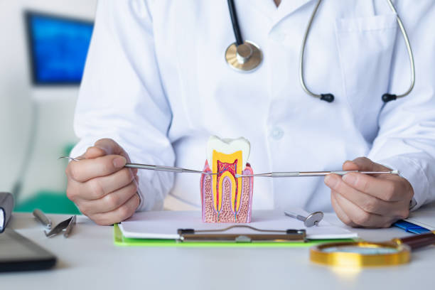 Best Emergency TMJ Treatment in Grant City, MO